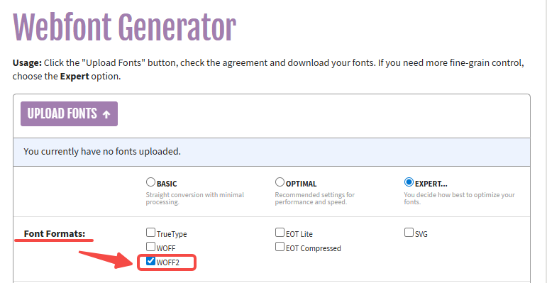 Image [8] - Comment s'assurer que toutes les polices se chargent correctement dans WordPress et Elementor pour améliorer les performances du site