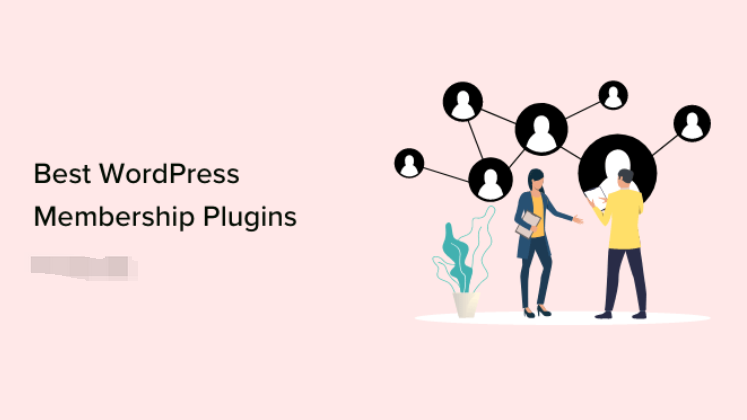 Image [7] - WooCommerce Membership Marketing Explodes Shopping Cart Changes, Customer Repurchase Rates Go Wild !