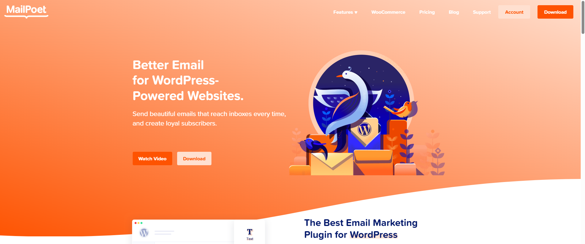图片[2]-放弃购物车变成订单！5步打造WooCommerce自动化邮件系统，轻松提升销售！