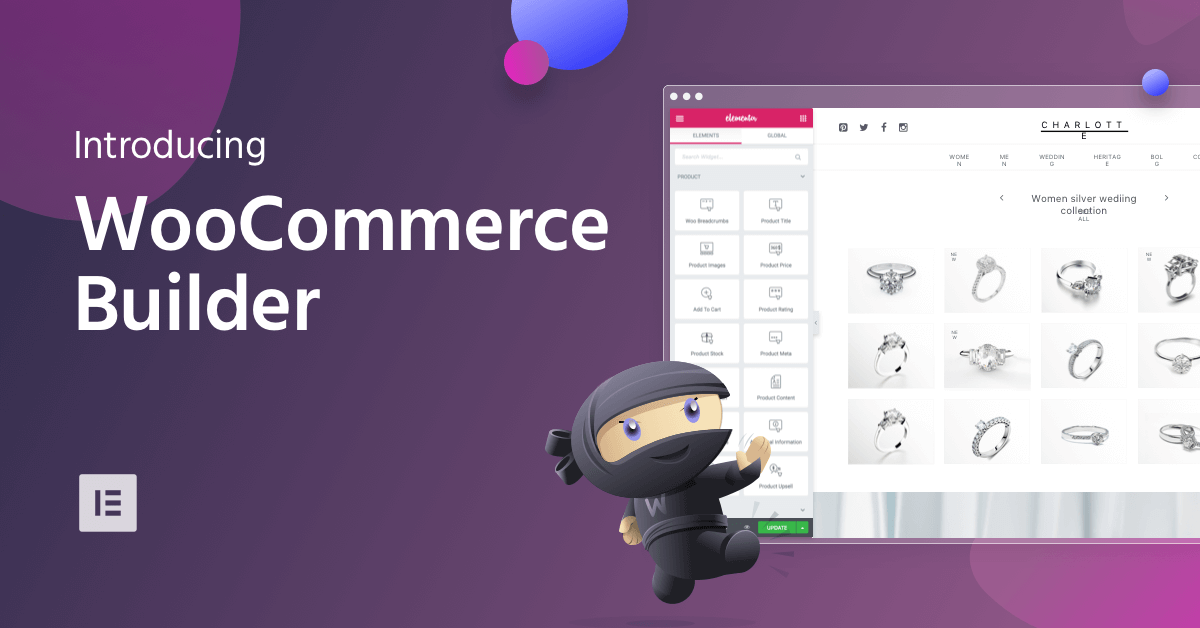 Image[1]-5 Plugins de personnalisation de page produit WooCommerce les plus populaires