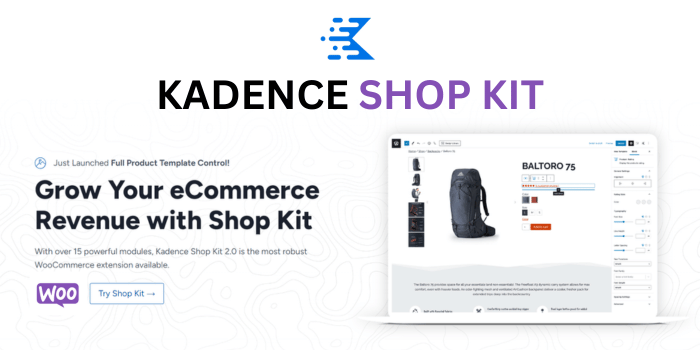 Image [3] - Recommandations du plugin Kadence Add-on : Améliorer la vitesse et la fonctionnalité de WordPress