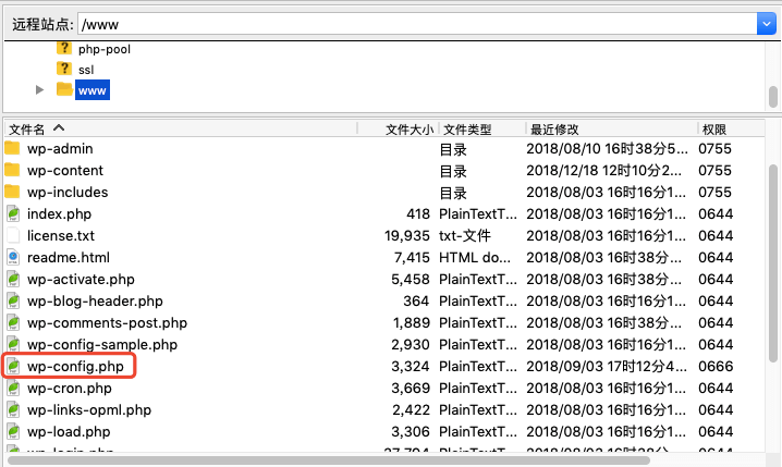 图片[4]-ElementKit 常见问题全解析：新手必看解决方案，让你的网站更快更稳！