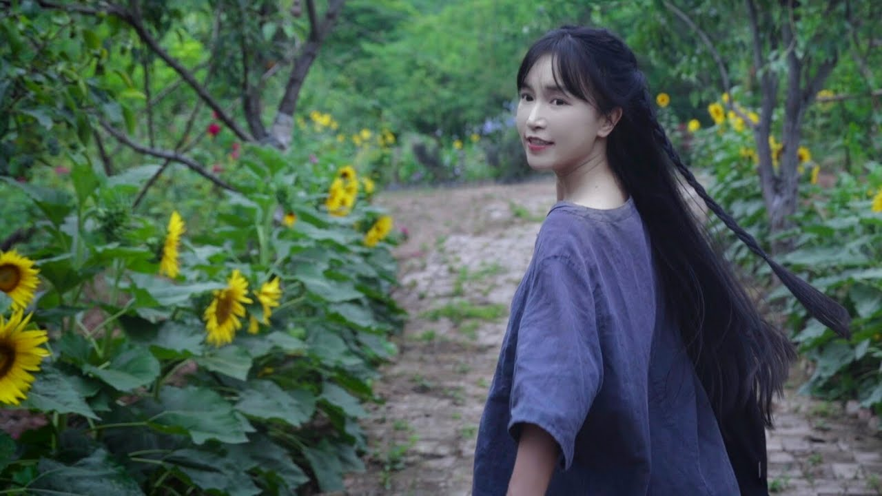 Image [2] - Why are the top vloggers making long videos? The truth about traffic that short videos will never learn!