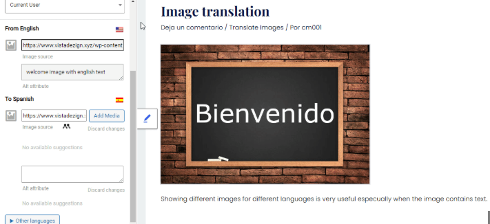 Imagen [11]-Elementor×TranslatePress Multilingual SEO Ultimate Hands-on: URL, hreflang, Sitemap ¡Todo a la vez!