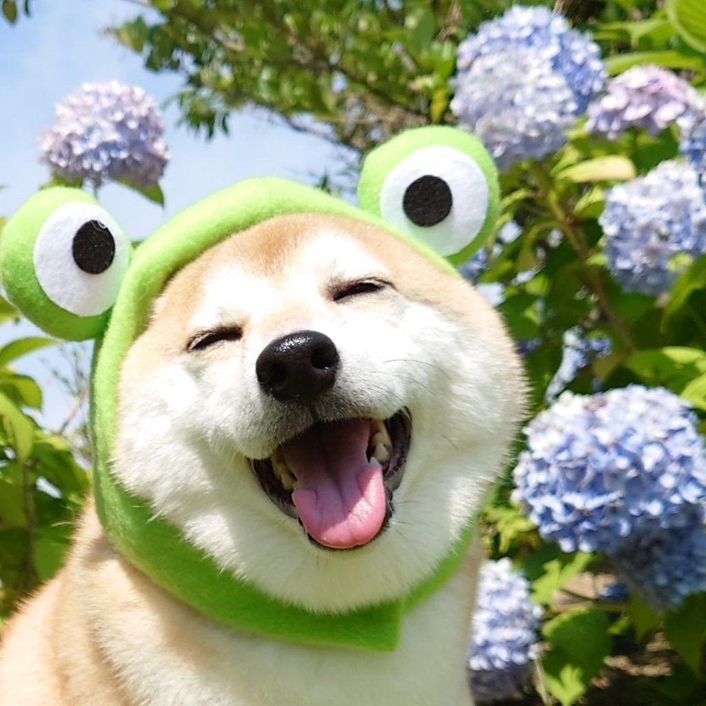 Sarah_lee_99's avatar - Photon Flux | Professional WordPress repair service, worldwide, quick response