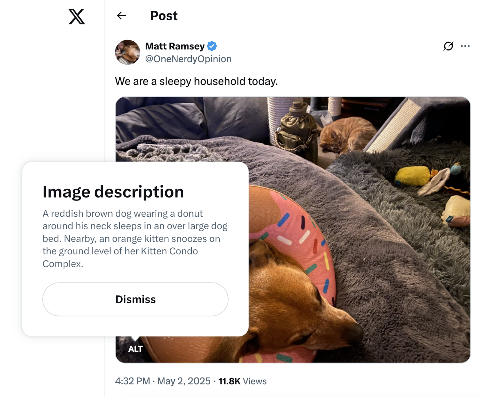 AltテキストとSEOの関係：なぜ画像の最適化はAltテキストなしではできないのか？-Photonflux.com｜プロフェッショナルなWordPress修理サービス！