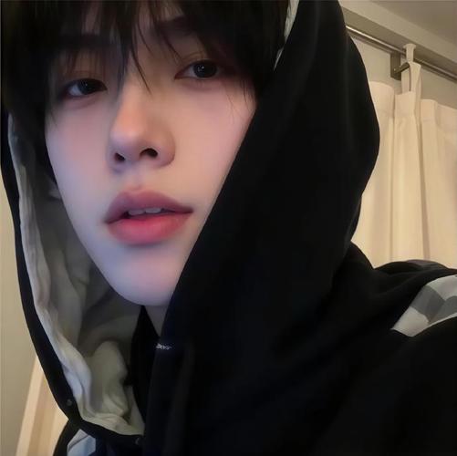 Chirping Avatar - Photon Wave Network | Professional WordPress Repair Services, Worldwide Coverage, Rapid Response