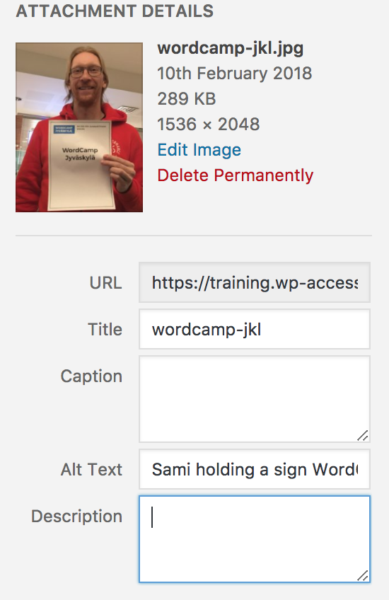 图片[3]-图片懒加载会影响 Alt Text 吗？90%站长都搞错了