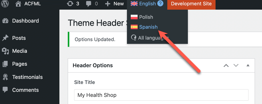 图片[4]-ACF 字段如何使用 WPML 翻译？详细步骤与常见错误避坑指南