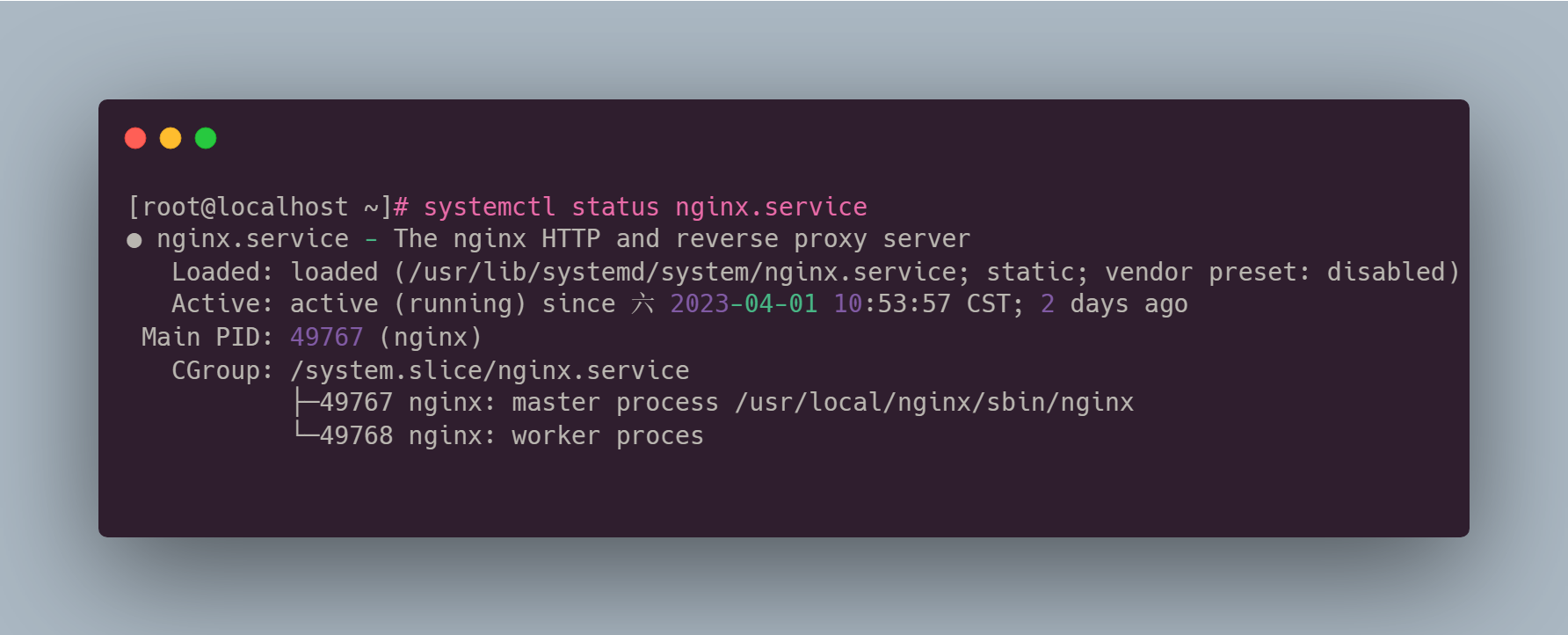 Ejecute el comando para comprobar el estado del servicio: systemctl status nginx