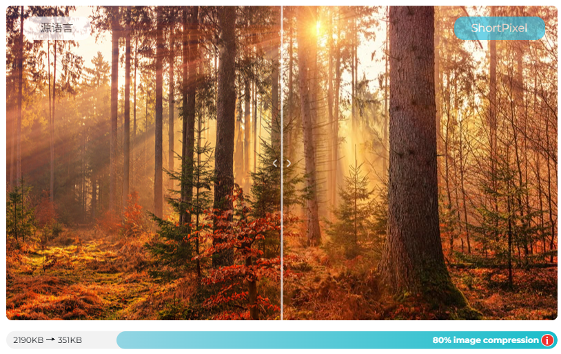 Image[2]-90% WordPress Sites Are Wasting Bandwidth: Are You Really Compressing Images Correctly?