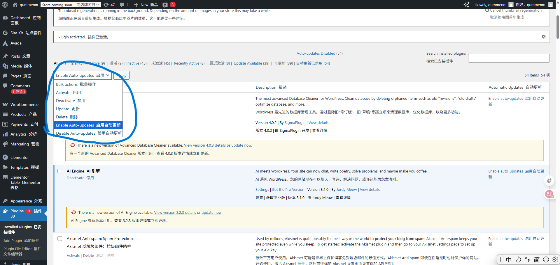 Image [5] - Le guide complet des mises à jour automatiques WordPress : lecture indispensable pour une maintenance sécurisée de votre site web