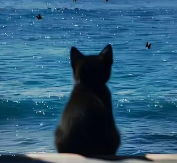 Aujourd'hui, j'ai envie d'un avatar poisson - Photon Wave Network | Services professionnels de réparation WordPress, couverture mondiale, réponse rapide