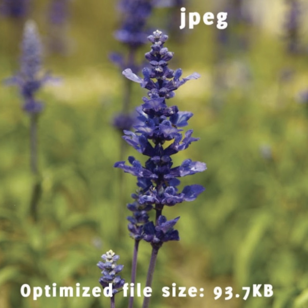 Image [4] - Why Aren't Your WordPress Images Getting Traffic? The Problem Isn't the Content, It's How You Upload Them