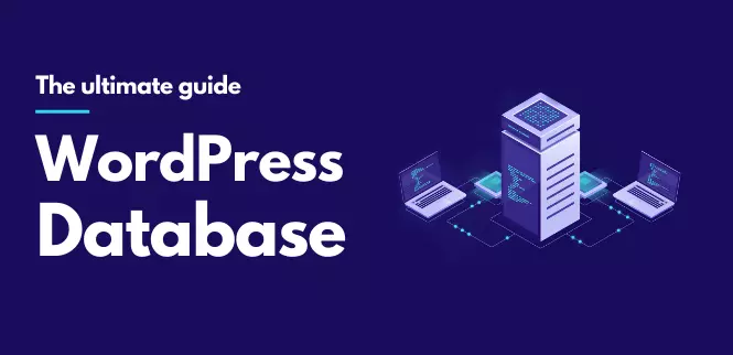 Diseño de bases de datos de WordPress: cómo almacenar datos complejos - Photon Wave Network | Servicios profesionales de reparación de WordPress, cobertura mundial, respuesta rápida