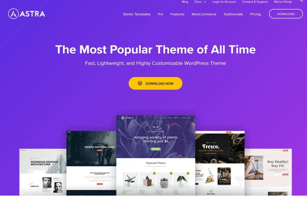 Configuración SEO para sitios web chinos con el tema Astra: cómo optimizar su sitio web chino - Photon Wave Network | Servicios profesionales de reparación de WordPress, cobertura mundial, respuesta rápida
