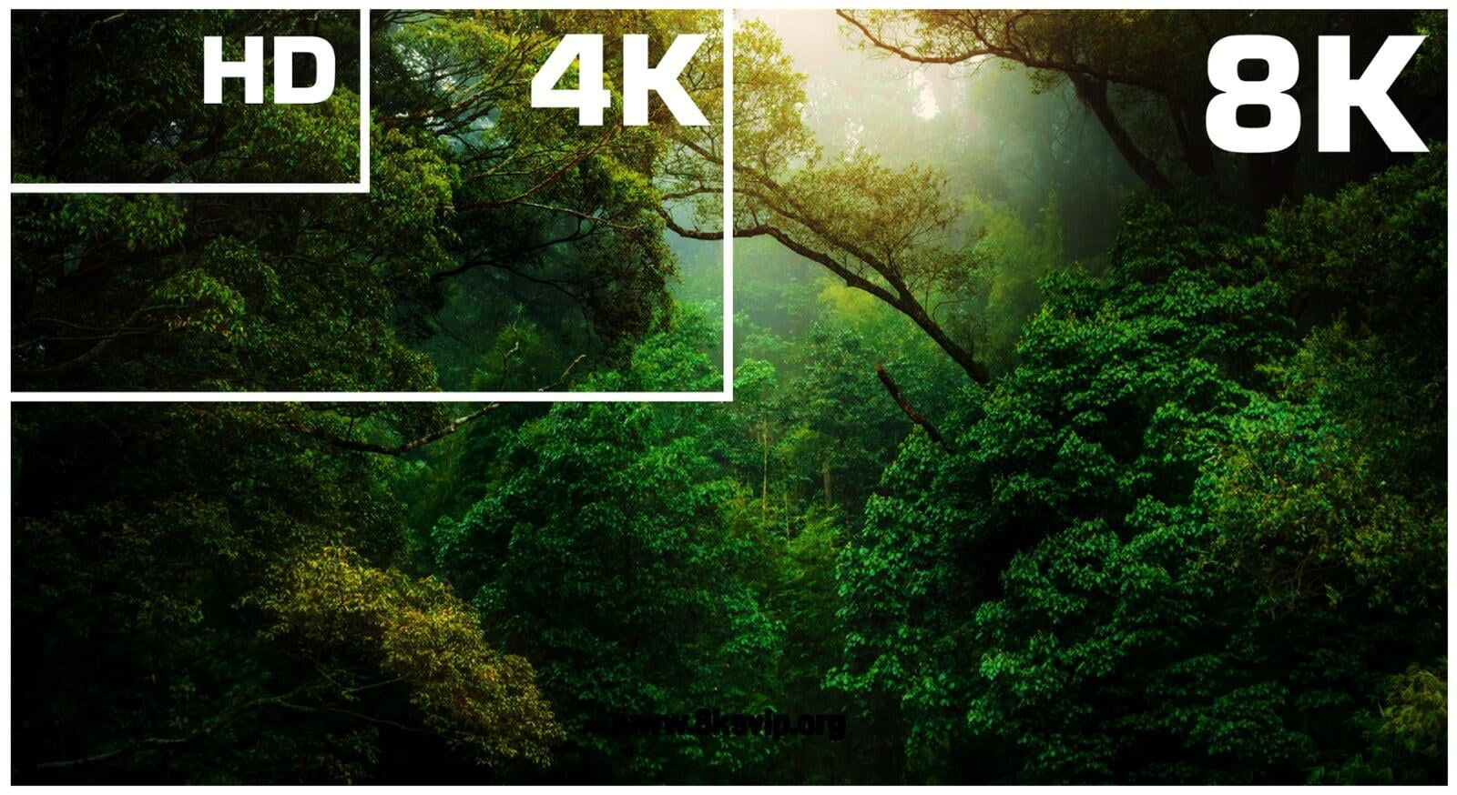 La compression vidéo après la baisse de la qualité de l'image, affectera-t-elle le temps de séjour de l'utilisateur ? -Photonflux.com | Service professionnel de réparation de WordPress, dans le monde entier, réponse rapide