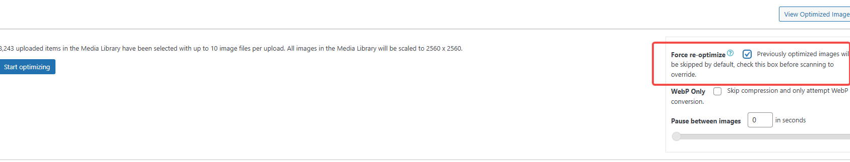 Imagen [7] - Guía de configuración de EWWW Image Optimizer: Cómo convertir automáticamente imágenes al formato WebP