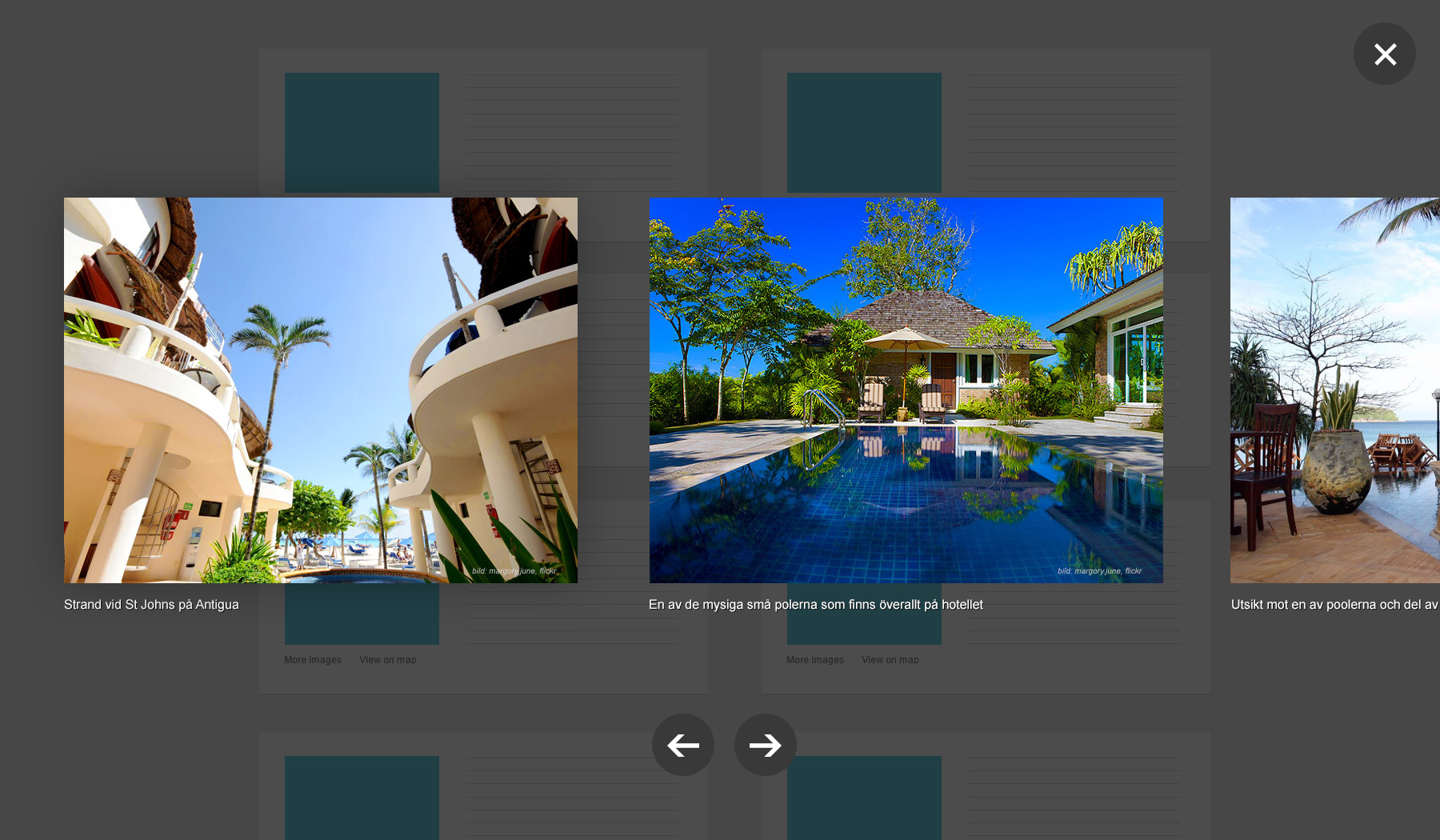Elementor Free Edition vs Pro Edition: Comparación completa de las diferencias de funcionalidad de Lightbox - Photon Flux | Servicio profesional de reparación de WordPress, en todo el mundo, ¡rápida respuesta!