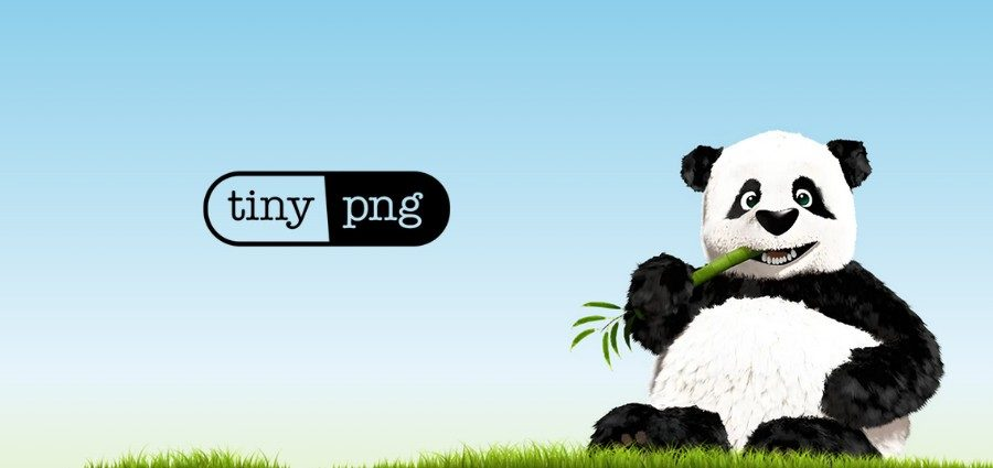 画像[2] - Elementor Proが動かない？ウェブサイトのスピードを上げる究極の最適化のヒントを公開します！