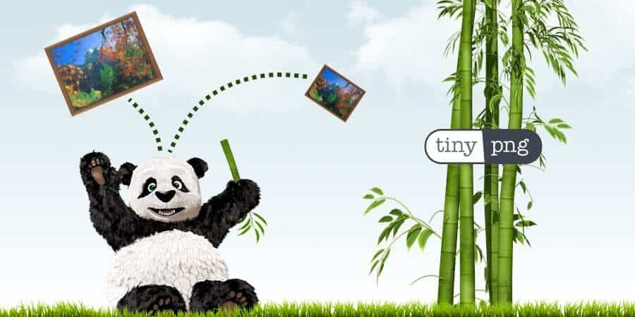 画像[1]-WordPress画像圧縮プラグイン実践ガイド、サイトの読み込み速度を簡単に向上させる