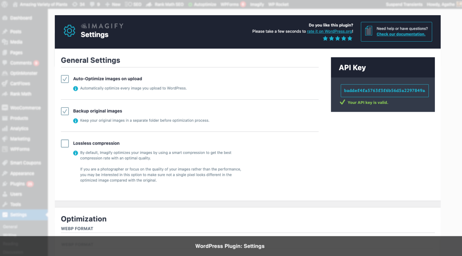 图片[3]-Imagify 与 WP Smush 图片优化对比：哪一个插件更适合你的网站？