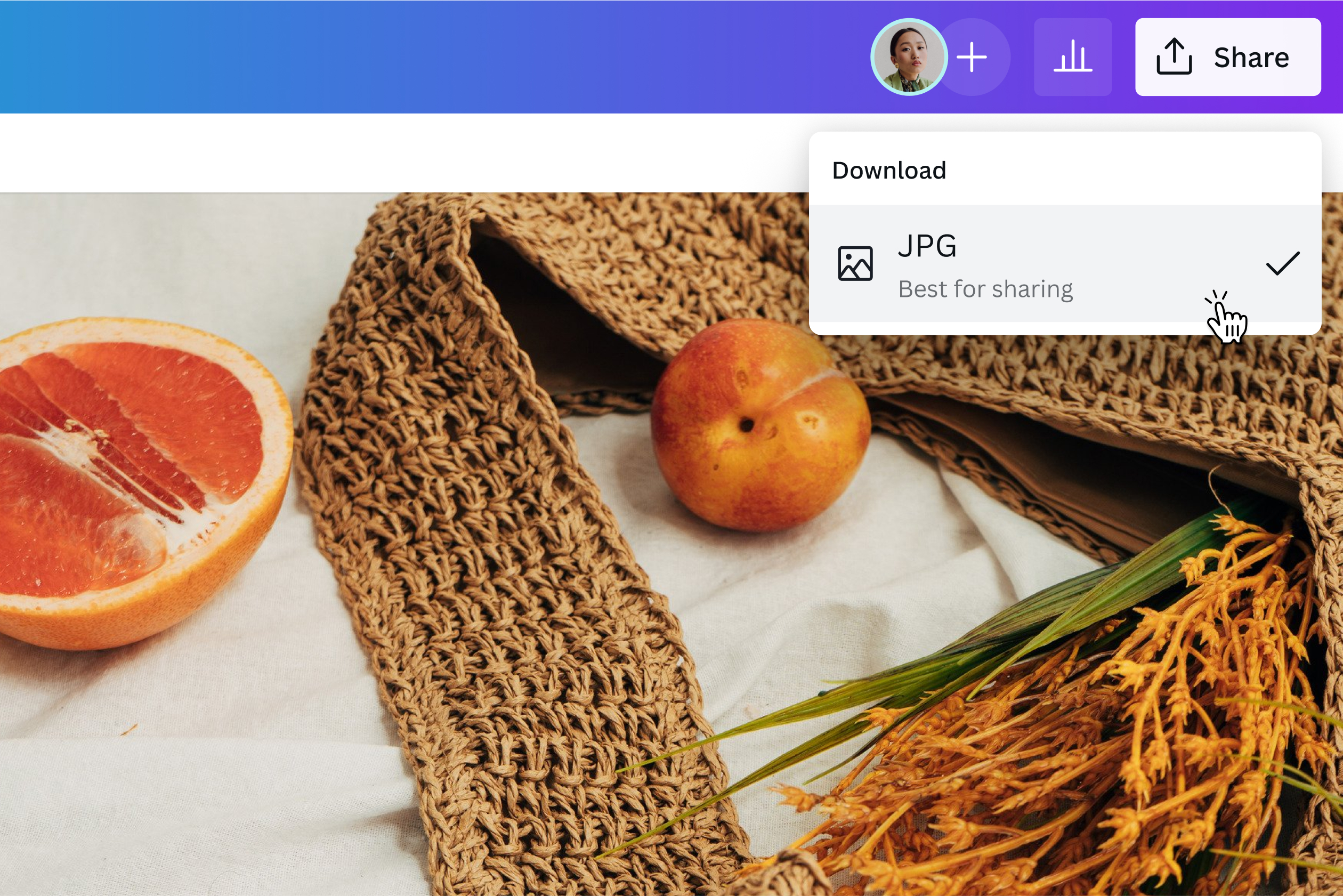 Image[6]-Imagify vs WP Smush Performance Comparison : Quel plugin de compression d'image est le meilleur pour votre site WordPress ?