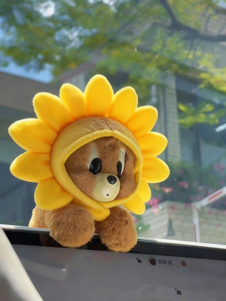 芋圆子-光子波动网 | 专业WordPress修复服务，全球范围，快速响应